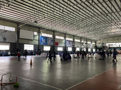 -东方启明星篮球培训(击掌校区)