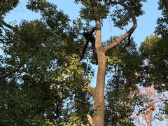 -J Create城市露营咖啡·简餐·宠物(上海动物园店)