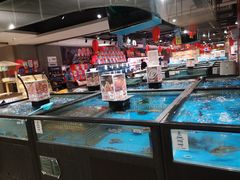 水产区-盒马鲜生(财富领域店)