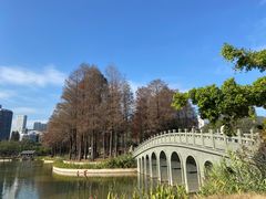-四海公园(南山区)