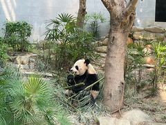 -石排湾郊野公园