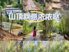 -青龙山国家森林公园