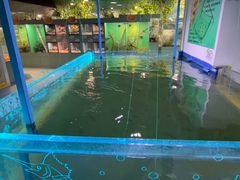 -上海大自然野生昆虫馆(东方明珠·爬宠昆虫探索中心)