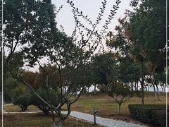 -滨湖塘西河公园
