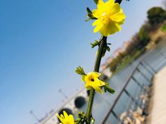 -尚贤河湿地
