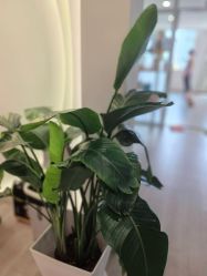 -爱尔乐美孕产瑜伽·普拉提