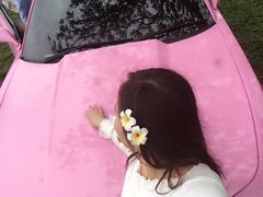-丽姐租车