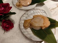 -汤城·料青山