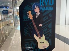 -Sony Store 索尼(来福士店)