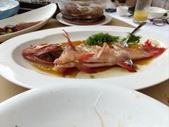 -圆苑(金茂店)