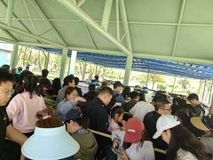 -南戴河国际娱乐中心