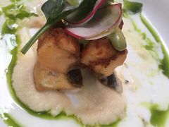 -Ocean's Table 欧舍