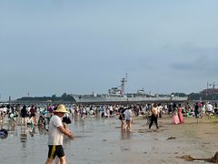 -日照海滨国家森林公园