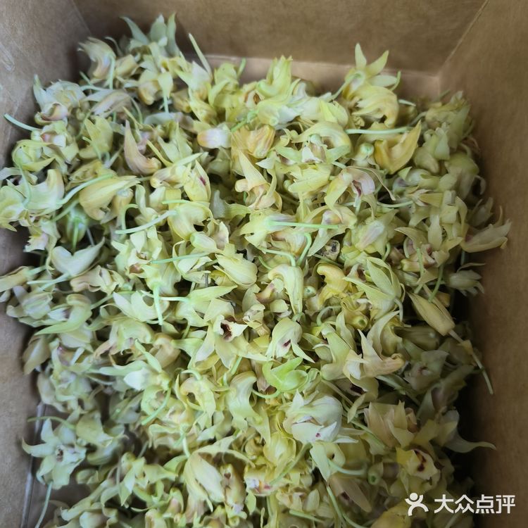 大自然的馈赠~鲜石斛花