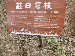 -华侨城湿地公园