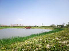 -嘉北郊野公园