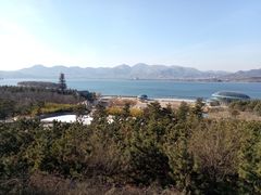 -雪野鱼头大王邢府公老店(雪野湖店)