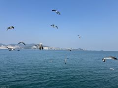 -刘公岛景区