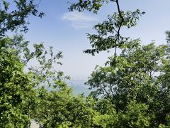 -紫金山山顶公园