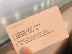 -龙阳路磁悬浮列车总站-停车场