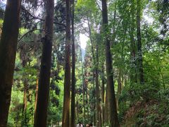 -青城山
