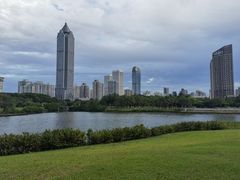 -万绿园