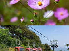 -沂蒙山旅游区云蒙景区(蒙山国家森林公园)