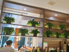 -刘胖子家常菜·蹄花焖藕(中南店)