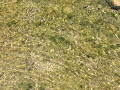 清清的河水-云丽燕农家乐