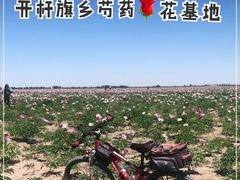 -大地中央广场