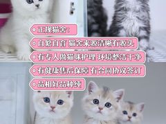 -lincat·猫舍(广州店)
