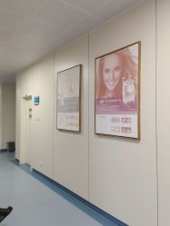 -八大处整形