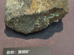 -浙江自然博物院(杭州馆)