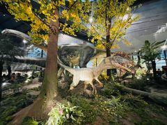 -湖南省地质博物馆