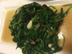 -金良酸菜鱼(宁海路总店)