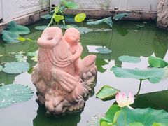 -丰台花园
