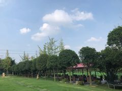 -洪湖家庭农场·团建·露营·会议