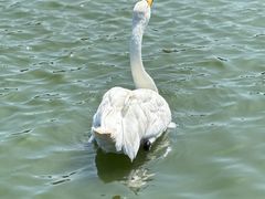 -南大港湿地风景区