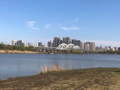 -滨州铁路桥