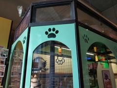 -猫咪博物馆(顶澳仔猫街店)