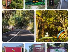 -孔雀湖生态旅游区