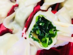 韭菜鸡蛋虾仁水饺-九先生水饺(傅厚岗店)