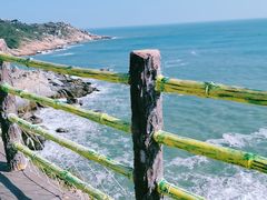 -广东惠东海龟国家级自然保护区