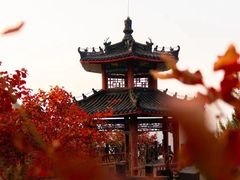 -狼牙山风景区
