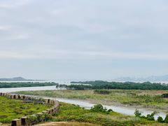 -福田红树林生态公园