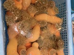 -天福海鲜酒楼·闽菜海鲜·宴请聚会(五四路店)