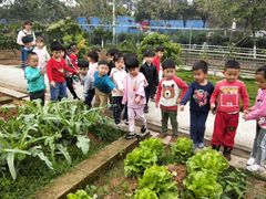 -加蒙特森林幼儿园(广州市增城区店)