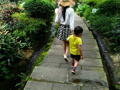 -大屏嶂森林公园
