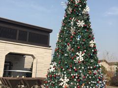 -上海崇明金茂凯悦酒店