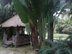 -厦门日月谷温泉渡假村